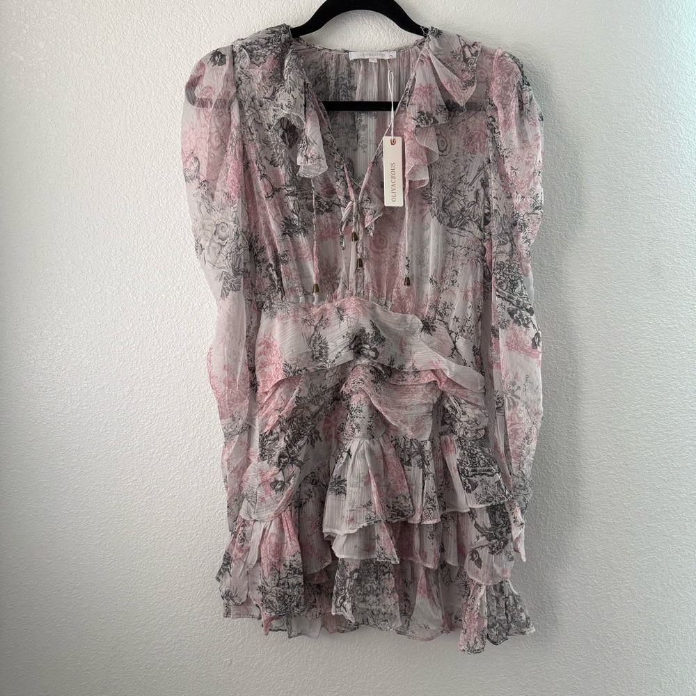 NWT Olivaceous Long Sleeve Ruffle Mini Dress Medium